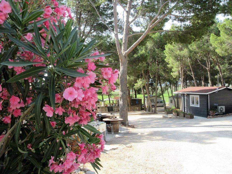 Camping Le Bois De Pins Salses-le-Château Eksteriør bilde